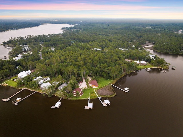 aerial view featuring a water view and a view of trees