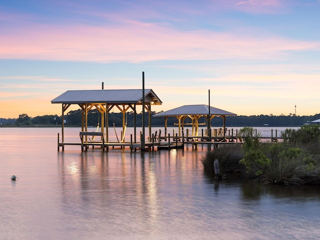 dock area with a water view