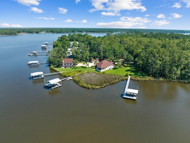 drone / aerial view with a water view and a view of trees