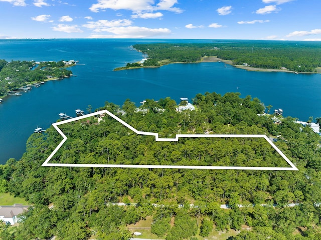 birds eye view of property featuring a water view and a wooded view