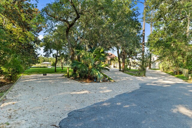 view of street featuring aphalt driveway