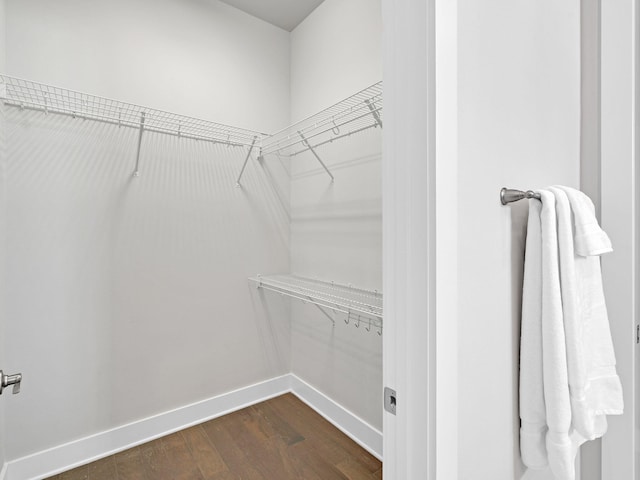 walk in closet featuring dark hardwood / wood-style flooring