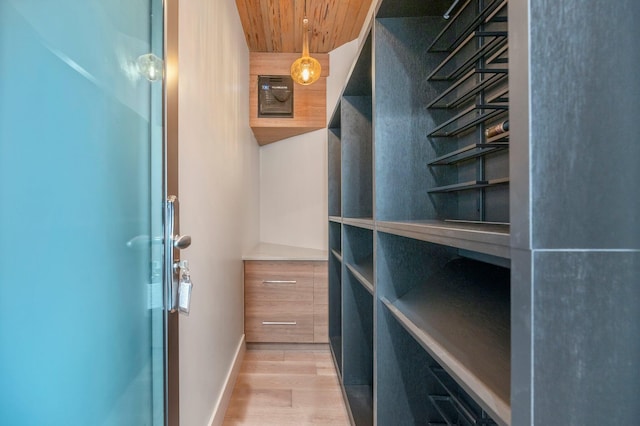 spacious closet with hardwood / wood-style floors