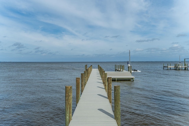 dock area with a water view