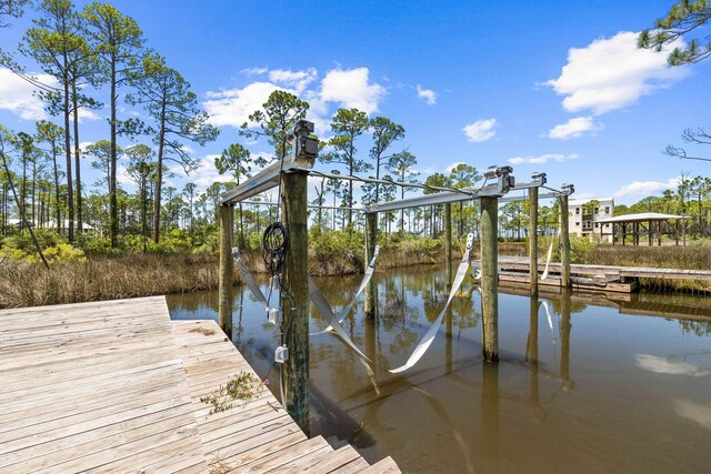 dock area with a water view