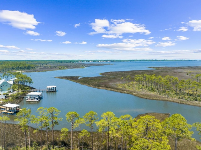109 W Nursery Rd, Santa Rosa Beach, FL 32459 - water view