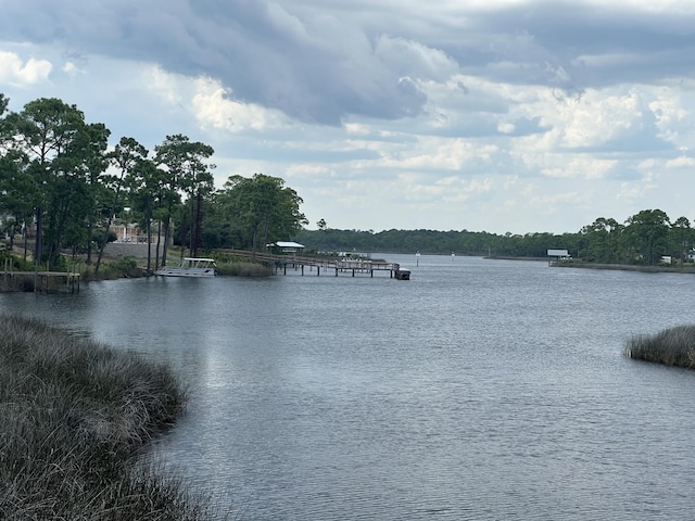 328 Turtle Cv, Panama City Beach, FL 32413 - photo 5