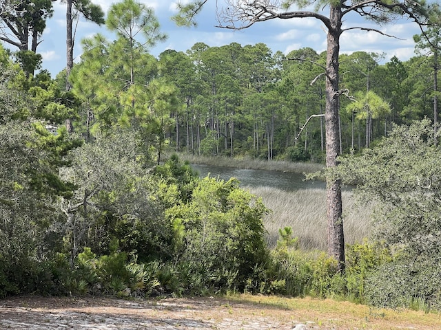 328 Turtle Cv, Panama City Beach, FL 32413 - photo 3