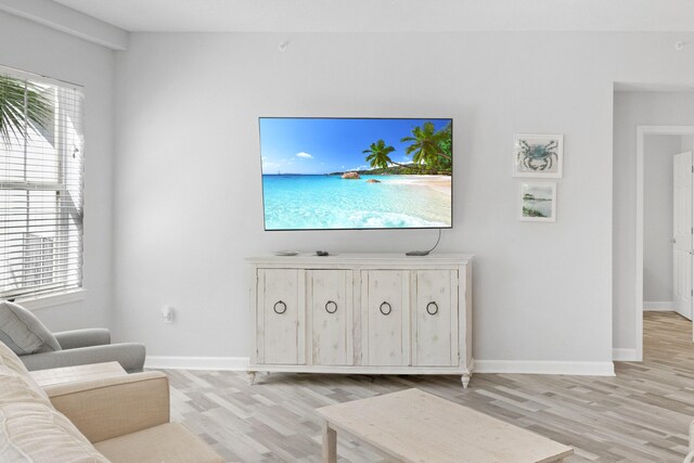 living room with light hardwood / wood-style flooring and a healthy amount of sunlight