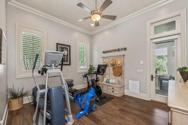 workout room with crown molding, plenty of natural light, ceiling fan, and dark wood-type flooring