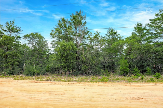 LOT4 E Honeysuckle St, Defuniak Springs FL, 32433 land for sale