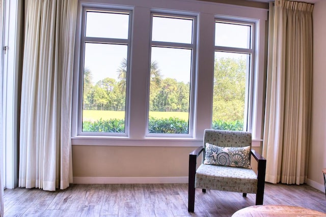 sitting room featuring light hardwood / wood-style floors