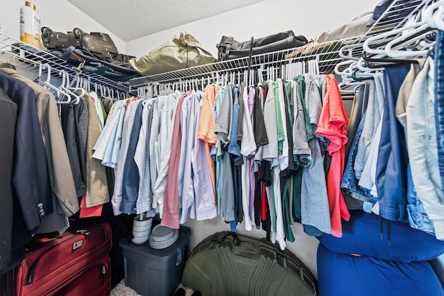 view of spacious closet