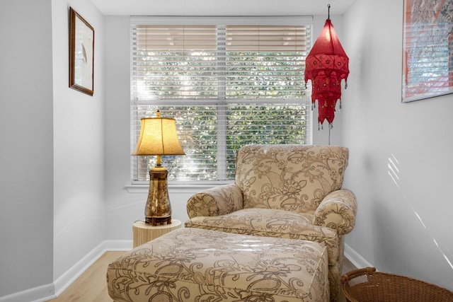 sitting room featuring wood-type flooring