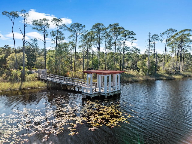 220 Climbing Rose Way, Santa Rosa Beach, FL 32459 - photo 58