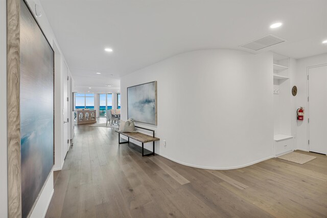 hall featuring light hardwood / wood-style floors