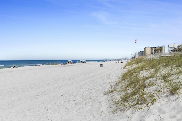 water view featuring a beach view