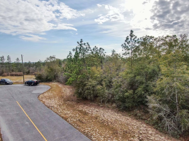 Listing photo 2 for LOT6 Polo Ct, Chipley FL 32428