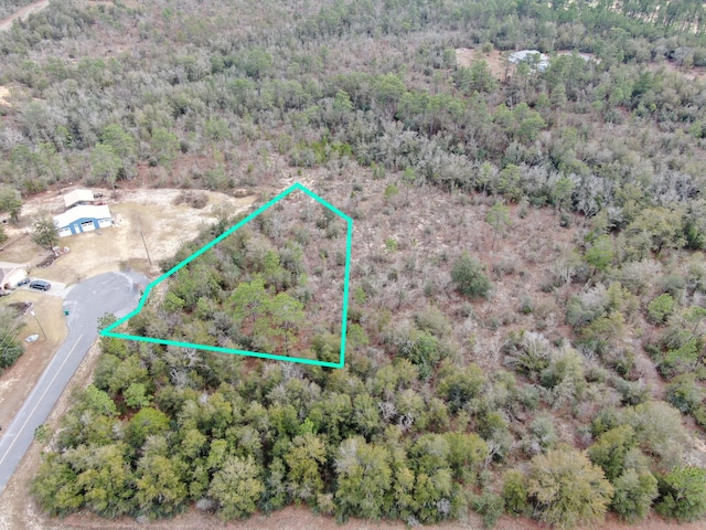 LOT6 Polo Ct, Chipley FL, 32428 land for sale