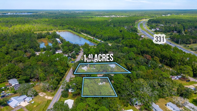 58 Hankins Rd, Freeport, FL 32439 - photo 5