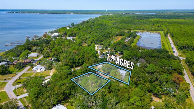 58 Hankins Rd, Freeport, FL 32439 - photo 6