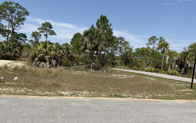 Listing photo 3 for LOT47 Jubilation Dr, Cape San Blas FL 32456