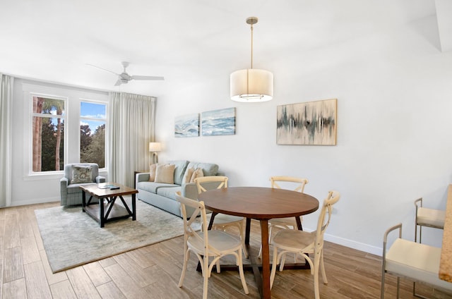 dining space with ceiling fan and light hardwood / wood-style floors