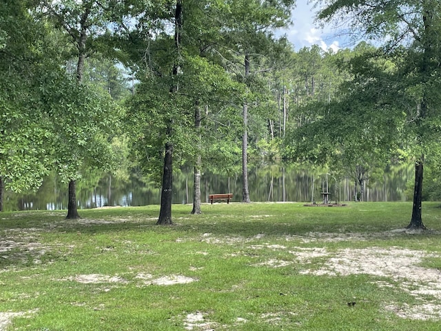 view of community featuring a water view and a yard