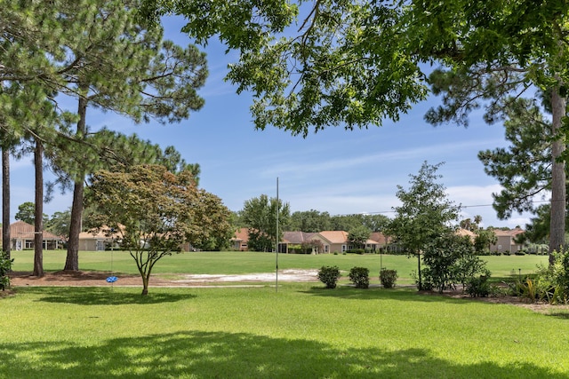 view of community featuring a yard