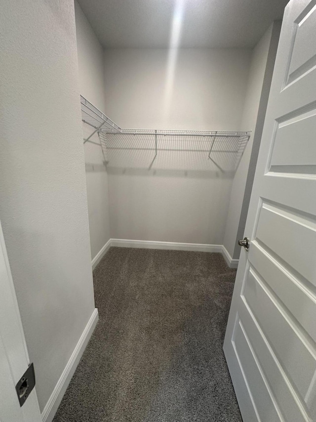 spacious closet with dark colored carpet