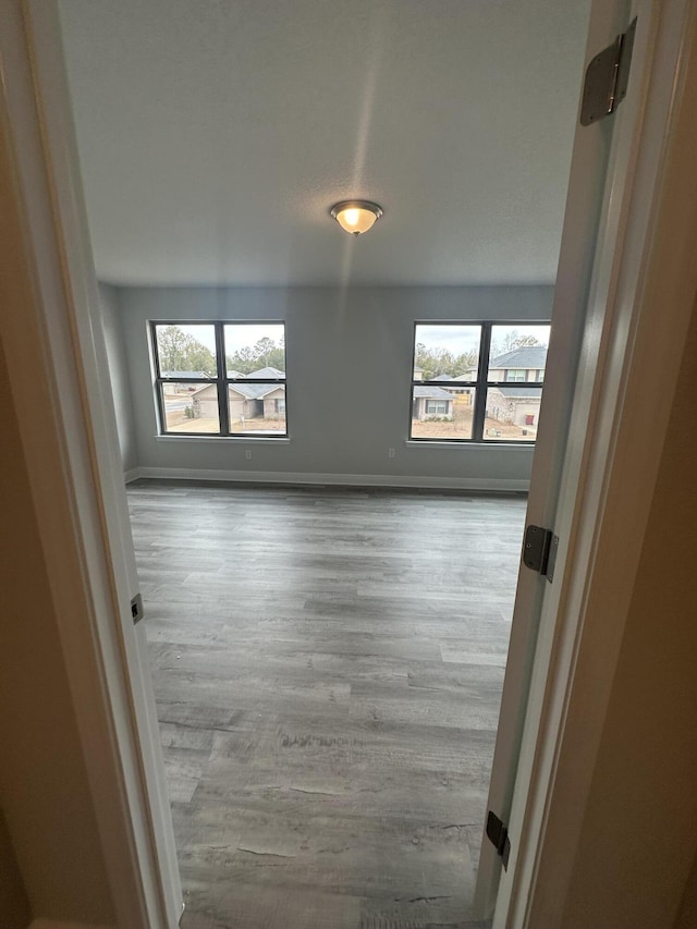 empty room with light hardwood / wood-style floors and a wealth of natural light