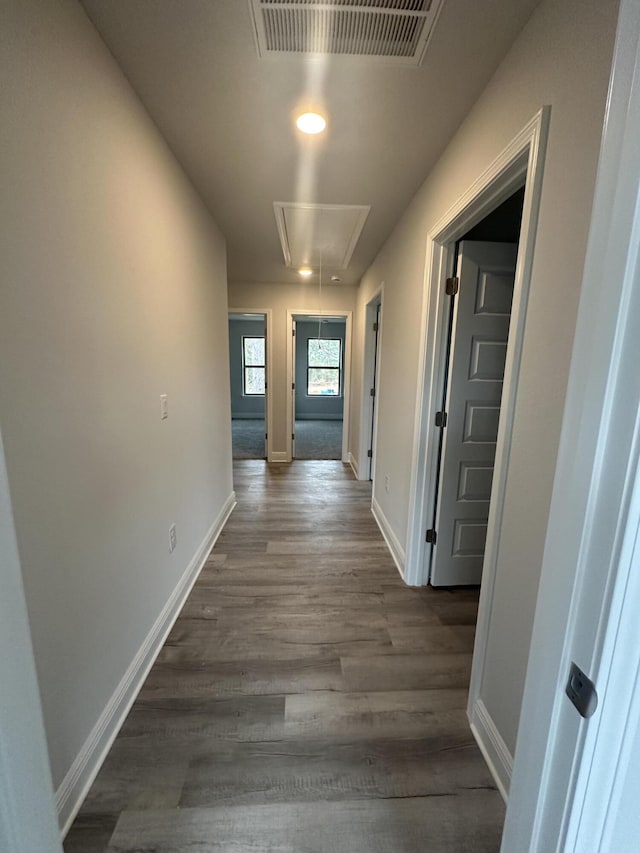 corridor featuring dark hardwood / wood-style floors