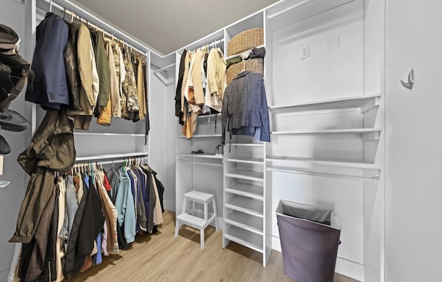 walk in closet with hardwood / wood-style flooring