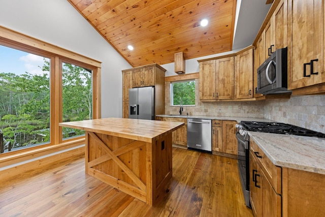 kitchen featuring tasteful backsplash, lofted ceiling, appliances with stainless steel finishes, and dark hardwood / wood-style flooring