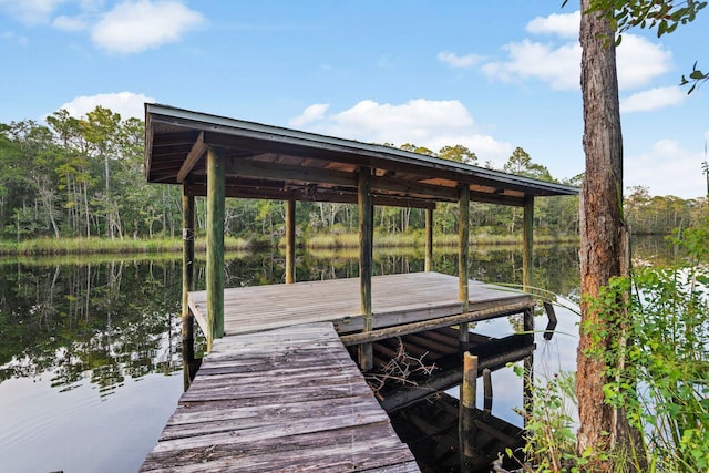 dock area with a water view