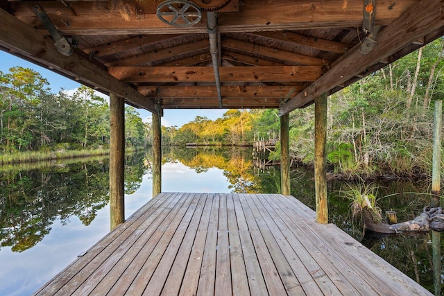 dock area with a water view