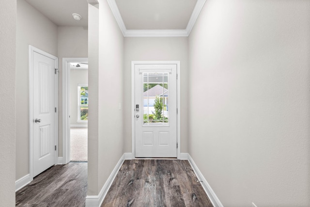 entryway featuring dark hardwood / wood-style flooring and crown molding