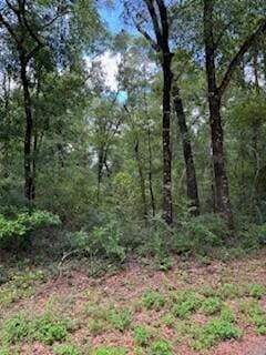 193 Seminole Ter, Defuniak Springs FL, 32433 land for sale