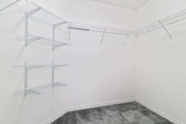 spacious closet with carpet flooring