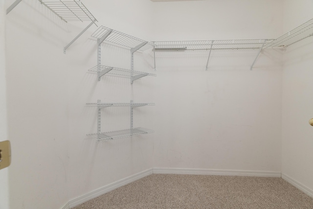 spacious closet with carpet