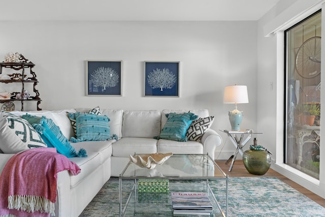 living room featuring hardwood / wood-style flooring