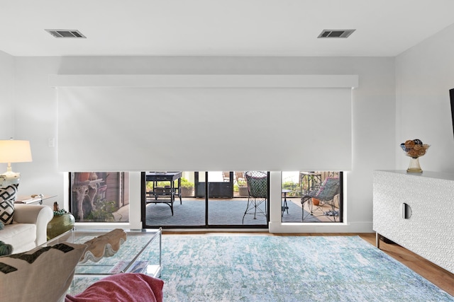 living room with wood-type flooring