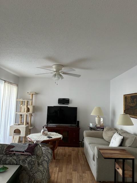 living room with hardwood / wood-style floors, a textured ceiling, and ceiling fan