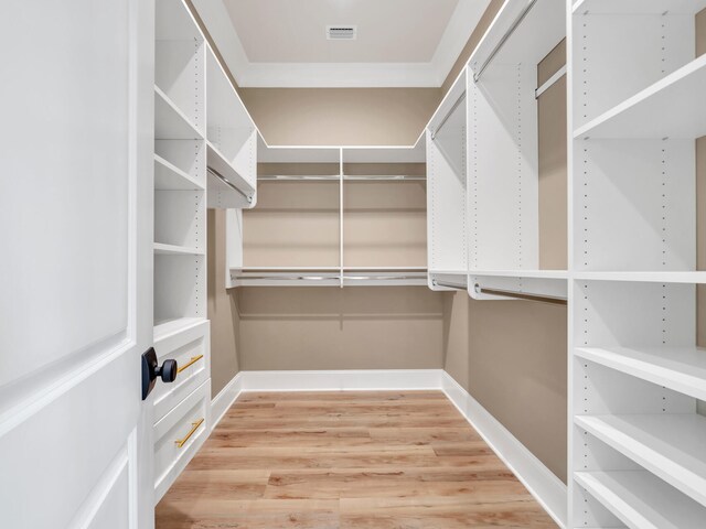 spacious closet featuring light hardwood / wood-style floors