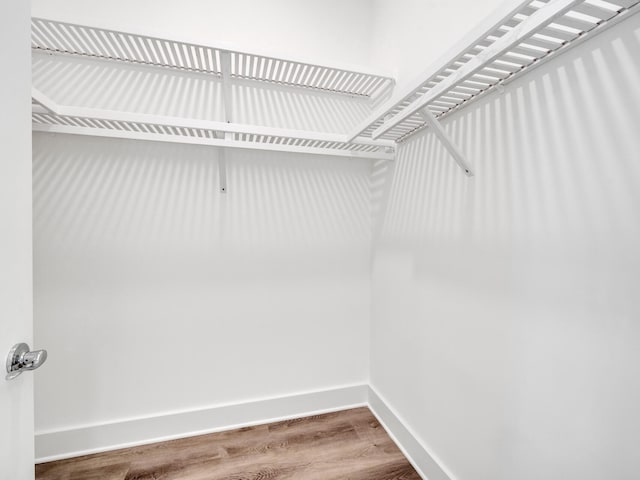 walk in closet featuring wood-type flooring