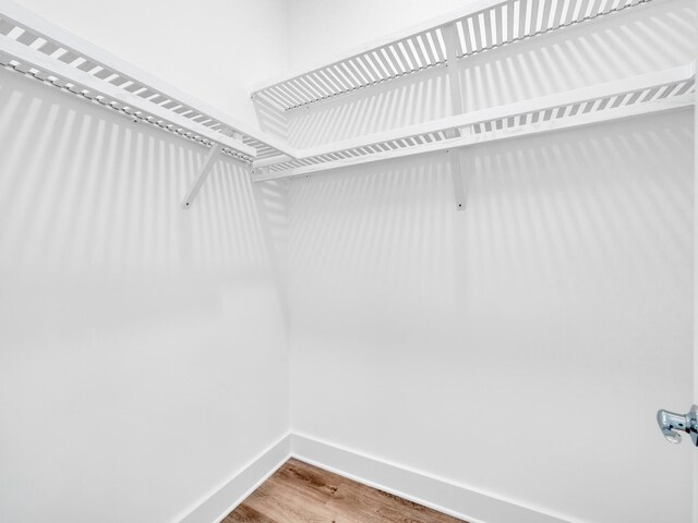 walk in closet with wood-type flooring