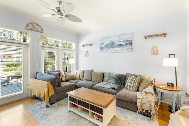 living room with light hardwood / wood-style floors, ceiling fan, and ornamental molding