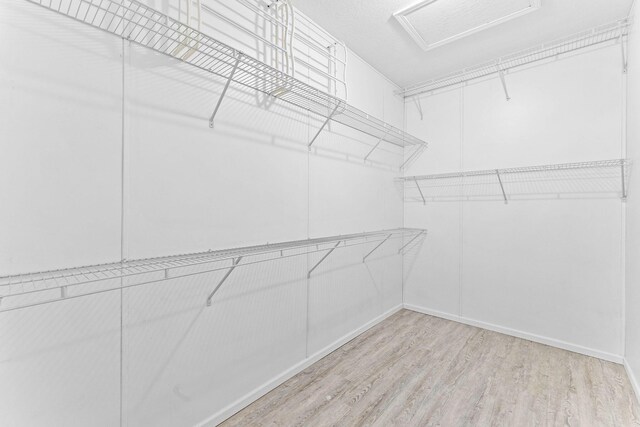 spacious closet with light hardwood / wood-style floors