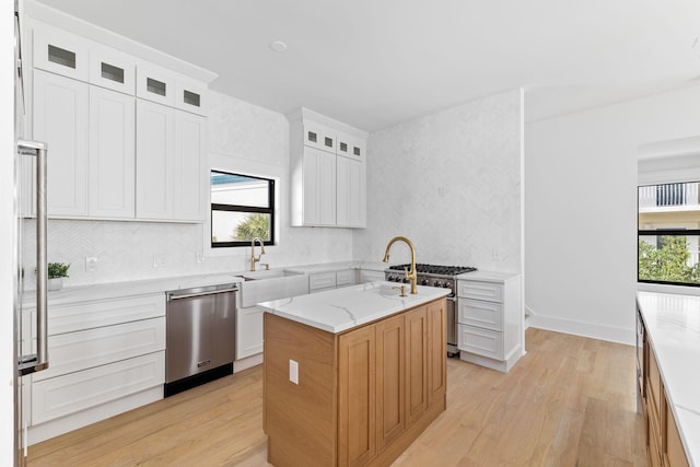 kitchen featuring plenty of natural light, light hardwood / wood-style flooring, and stainless steel appliances