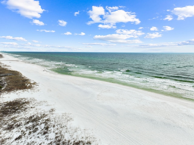 property view of water featuring a beach view